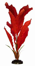 Barbus Шелковое растение Апоногетон Мадагаскарский красный (блистер)